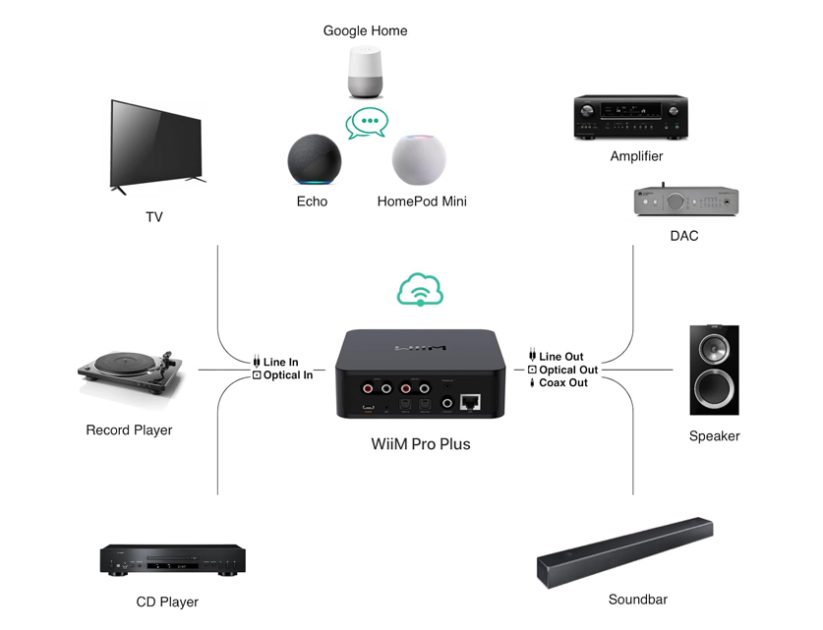 WiiM PRO PLUS conectividade