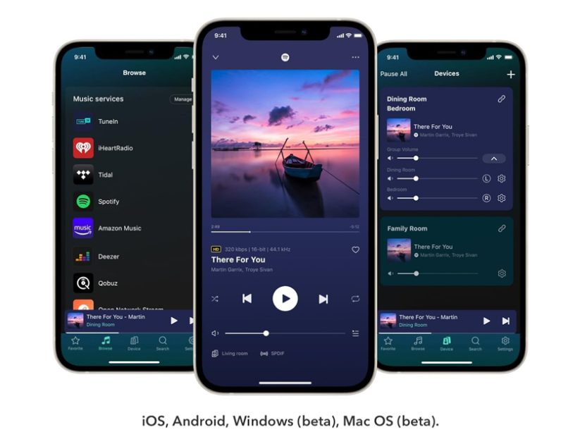 WiiM PRO PLUS app