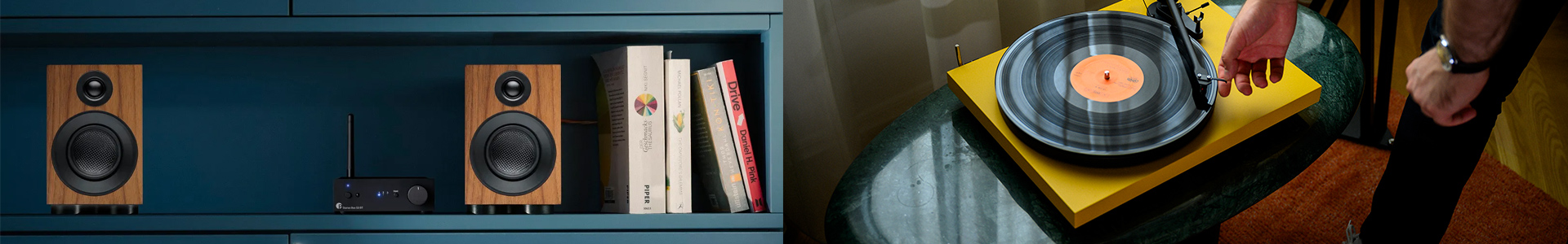 Pro-Ject topo marca desktop