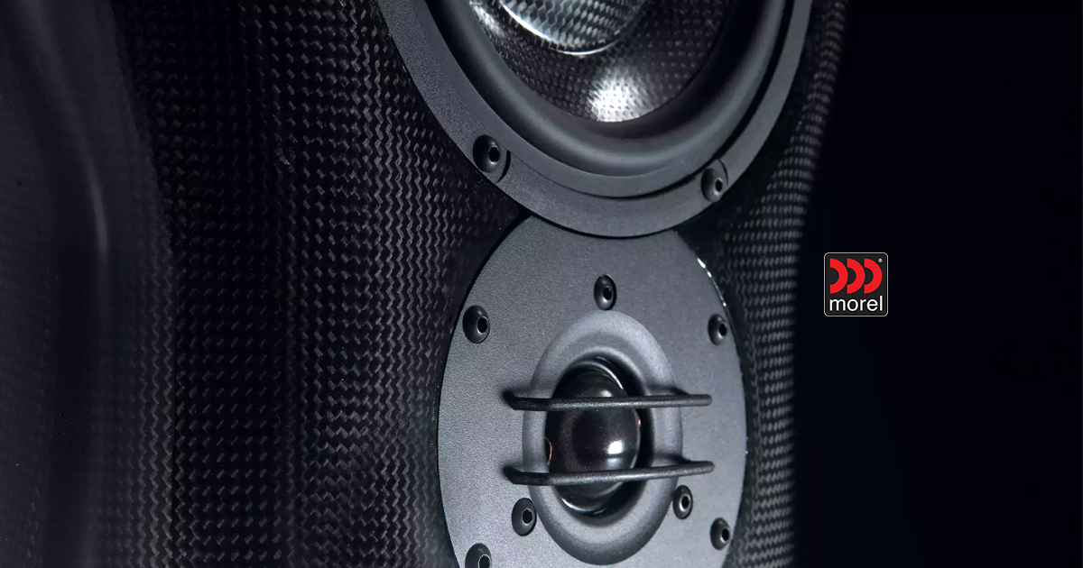 Morel portugal notícia representante