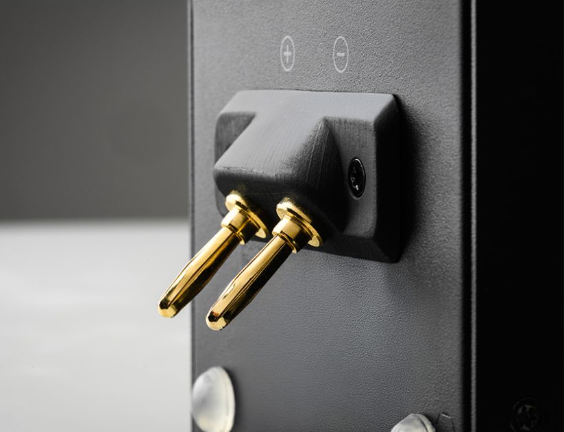 Pro-Ject WIRELESS BOX E detalhe terminais