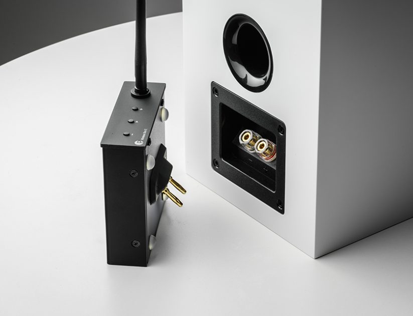 Pro-Ject WIRELESS BOX E em uso 1
