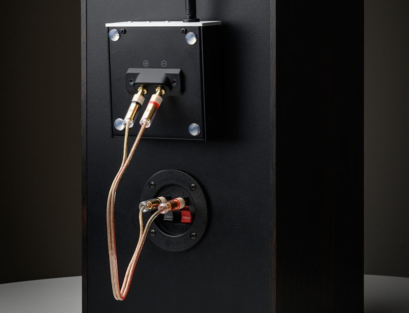 Pro-Ject WIRELESS BOX E em uso 4