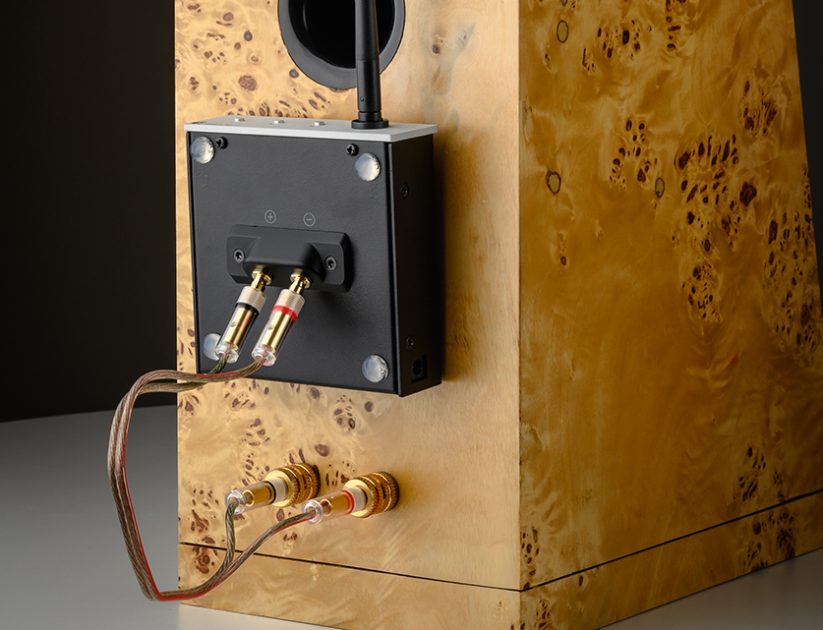 Pro-Ject WIRELESS BOX E em uso 5